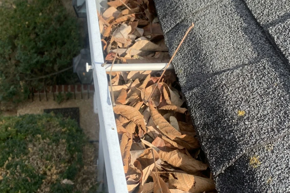 Gutter Cleaning Altamonte Springs FL