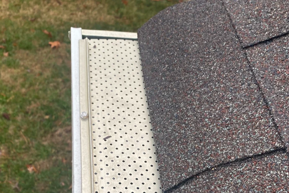 Gutter Cleaning Altamonte Springs FL